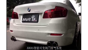 BMW 5 Series 525LI